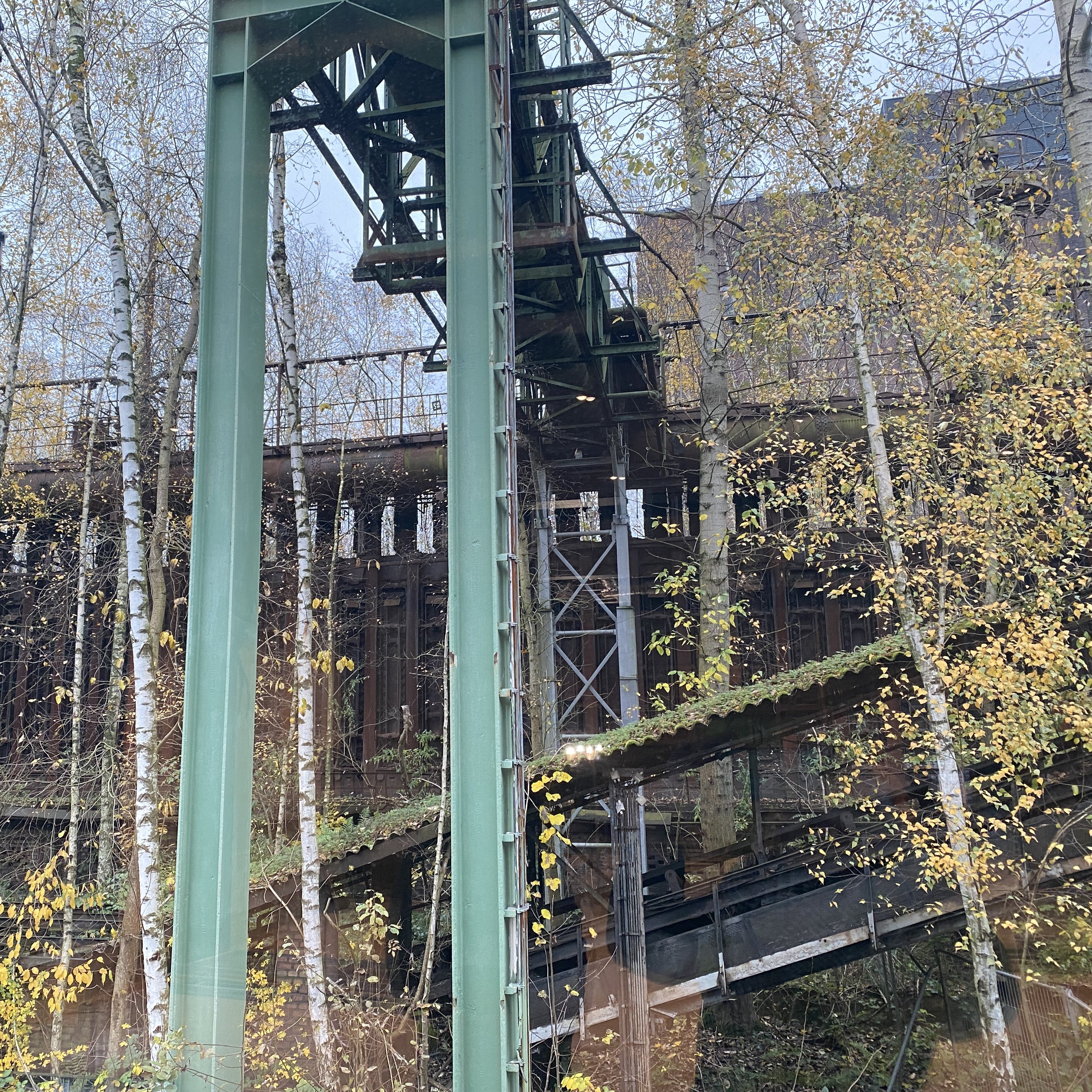 Natur und Industrie auf der Kokerei Hansa